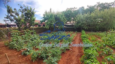 Foto 5 de Finca rústica en venta en Bobadilla - Bobadilla Estación - La Joya, Antequera