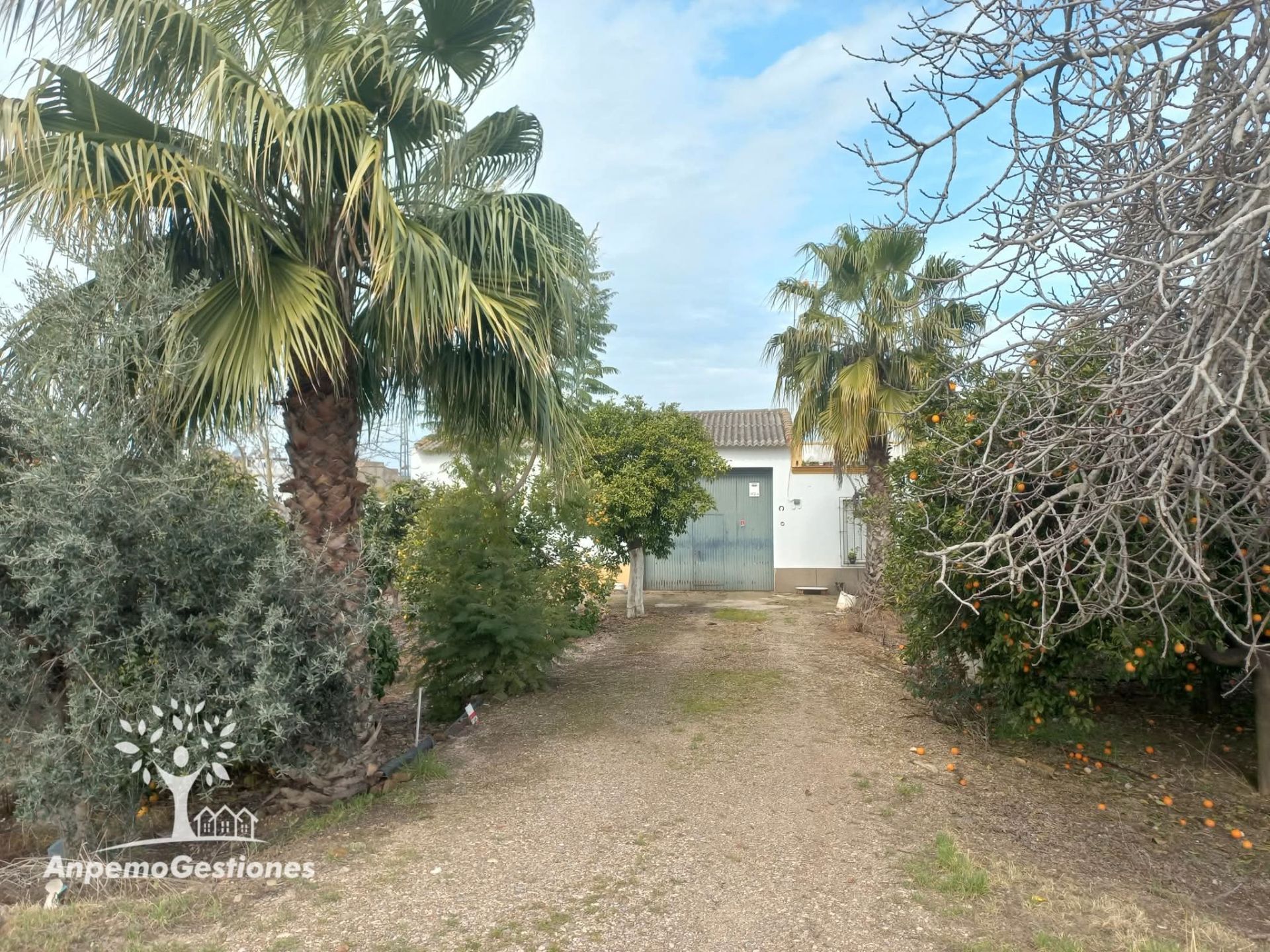 Exterior view of House or chalet for sale in Palma del Río  with Private garden and Storage room