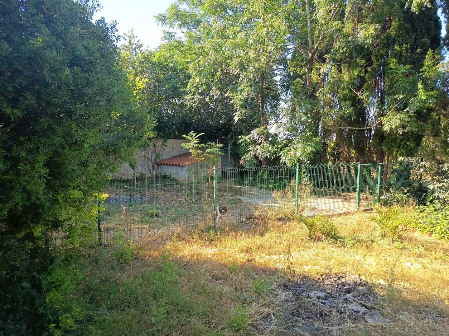 Casa rústica con piscina en venta en El Banyador, imagen 35