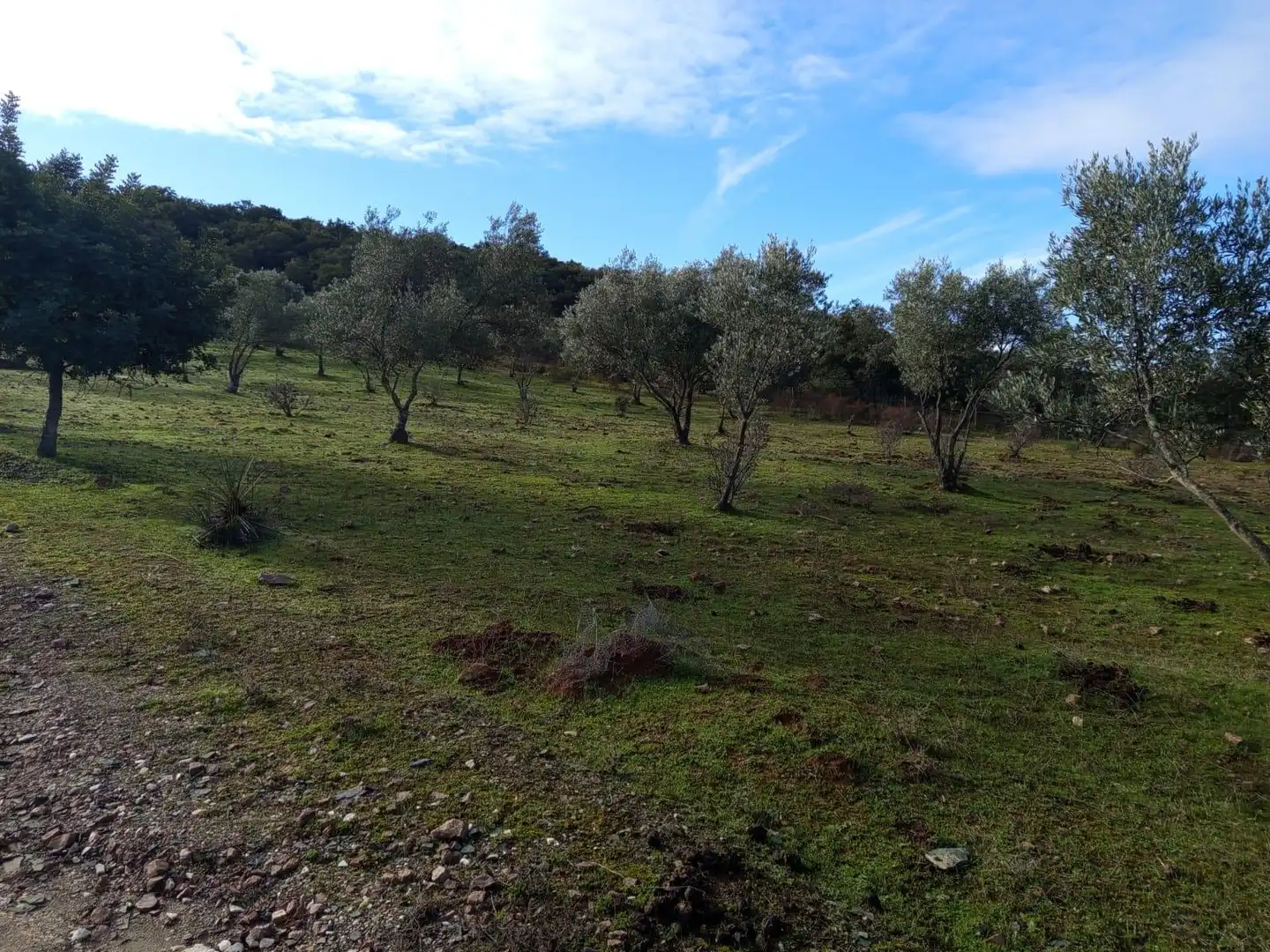 Finca rústica en venda en Almadén de la Plata amb Jardí privat