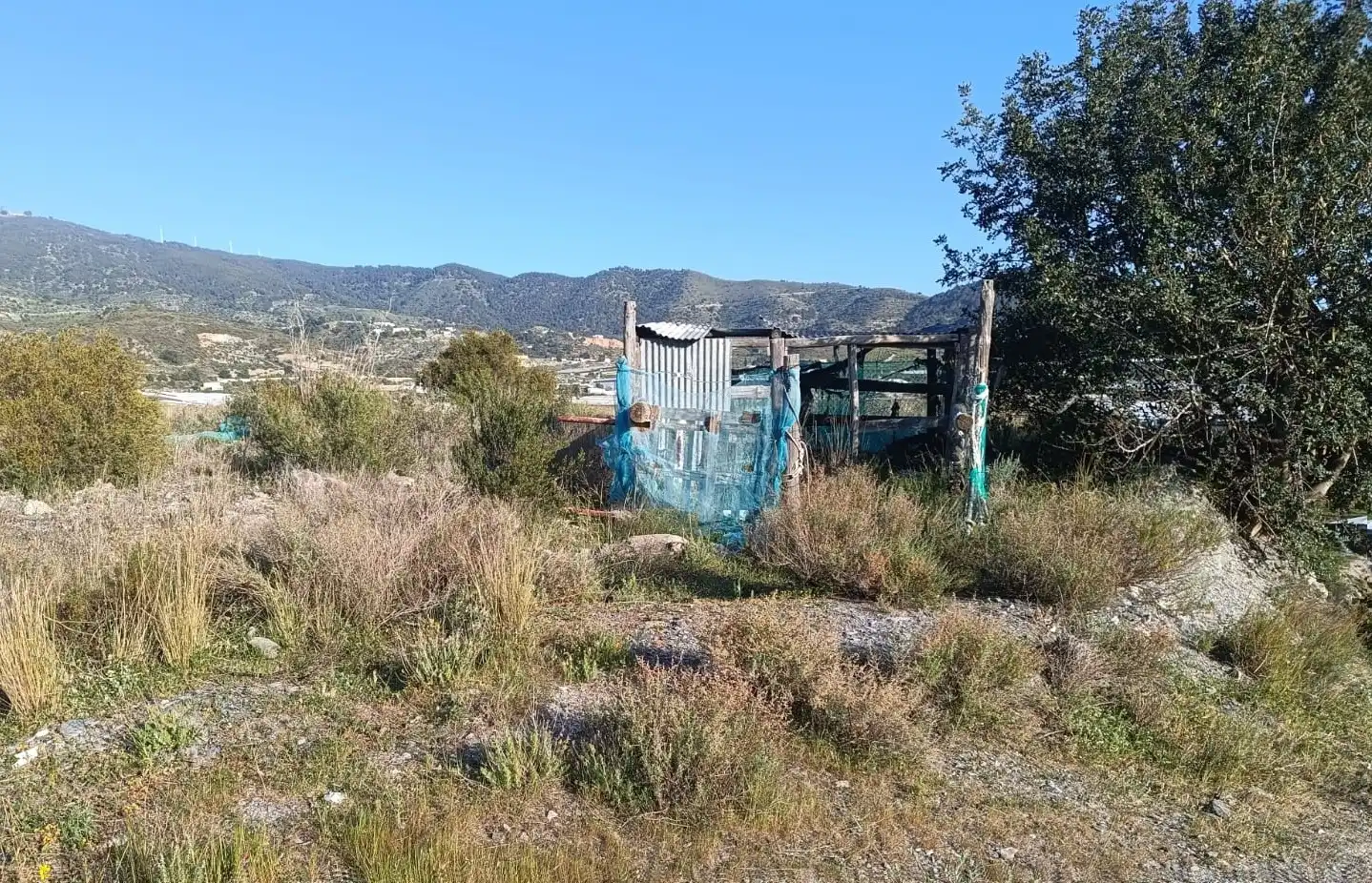 Terreno rústico en venta en Los Tablones - La Garnatilla, imagen 3