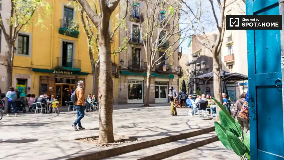 Appartamento con terrazza in affitto a Ciutat Vella, imagen 13