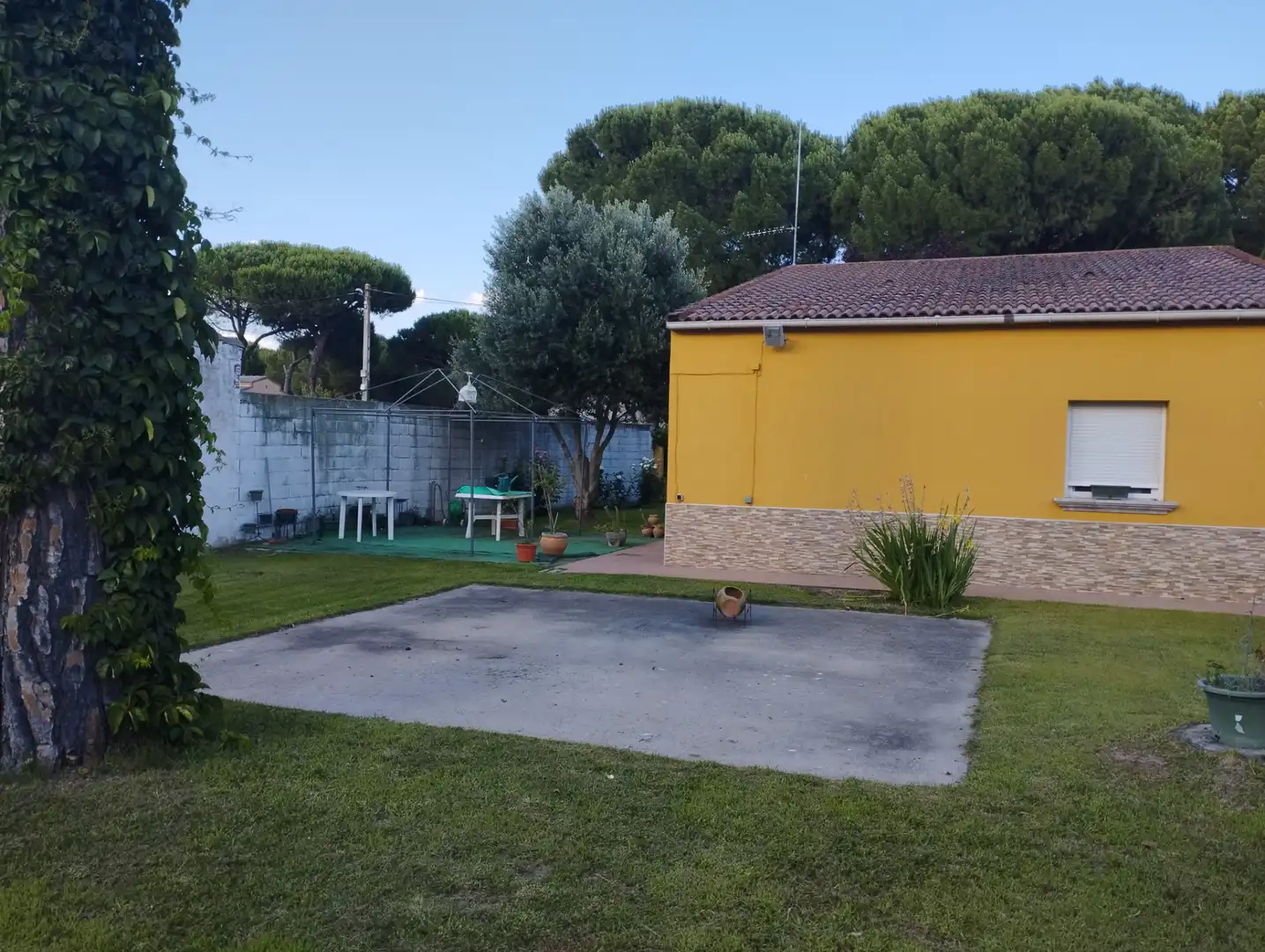 House with garden for sale in Urbanización las Salinas 1, imagen 8