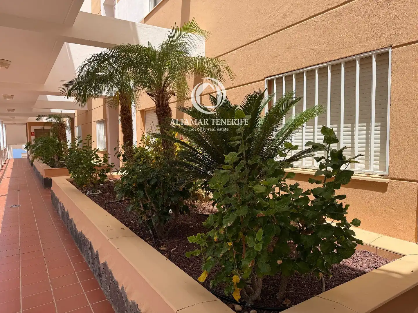Terrasse von Wohnungen zur Miete in Adeje mit Terrasse, Schwimmbad und Möbliert