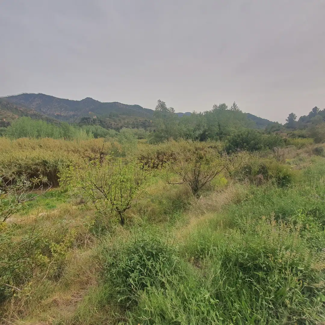 Terrain rustique à vendre à Benifallet, imagen 6