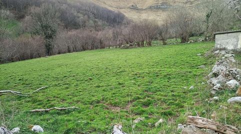 ArredondoTerreno, immagine 4