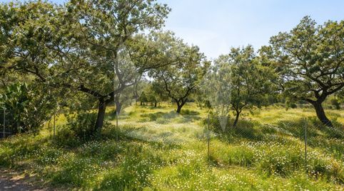 Foto 4 de Residencial en venta en Arrabal Tres Arroyos Ar-9, Carretera de Sevilla - Los Montitos, Badajoz Capital