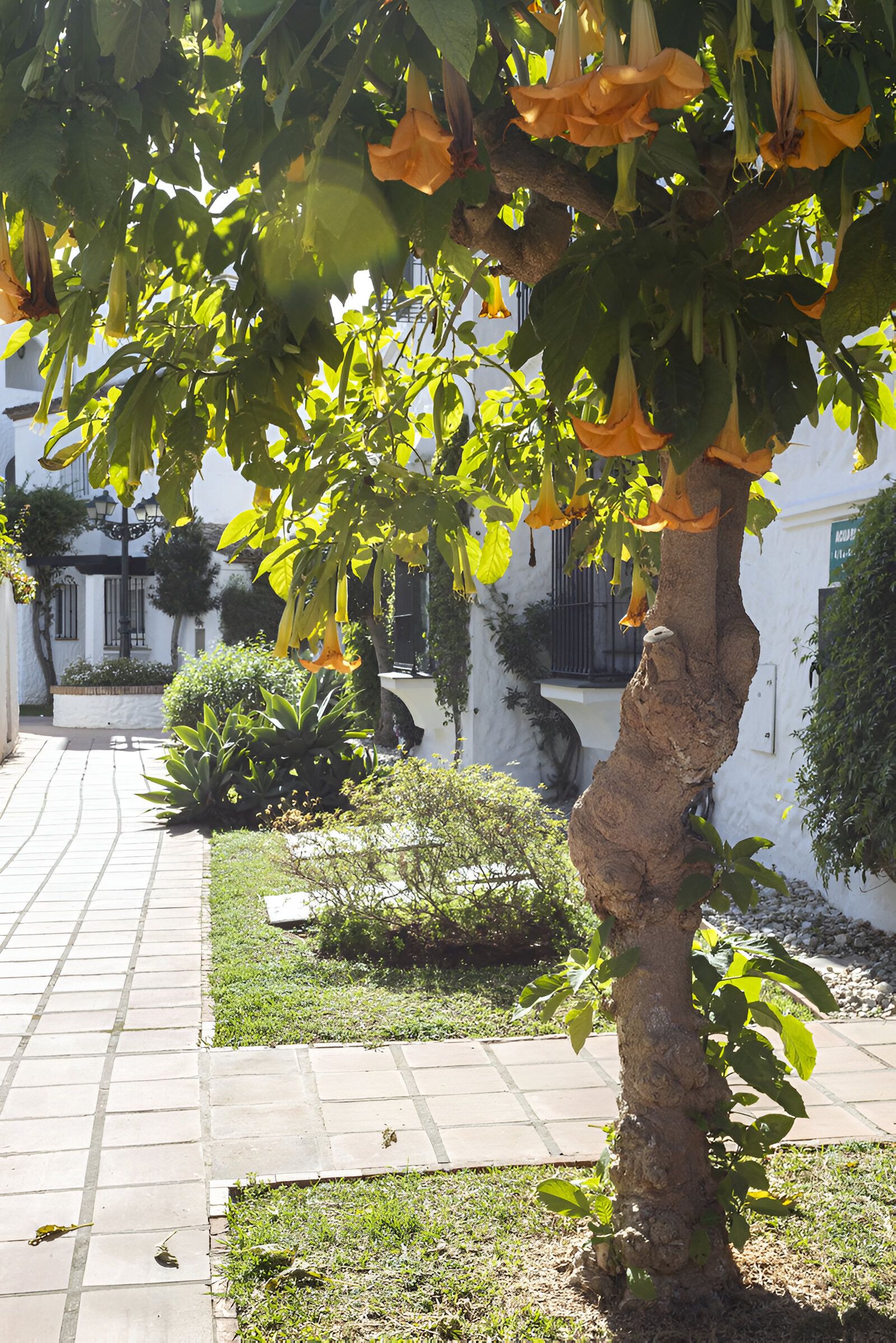 Garden of Single-family semi-detached for sale in Estepona  with Air Conditioner, Terrace and Swimming Pool