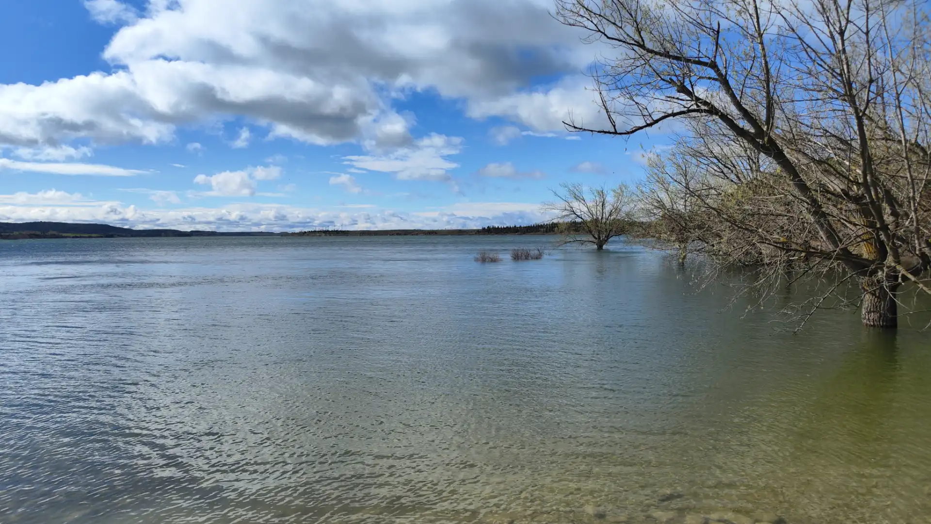 Terreni e lotti in vendita a Urbanización Viña del Romero 16, imagen 12
