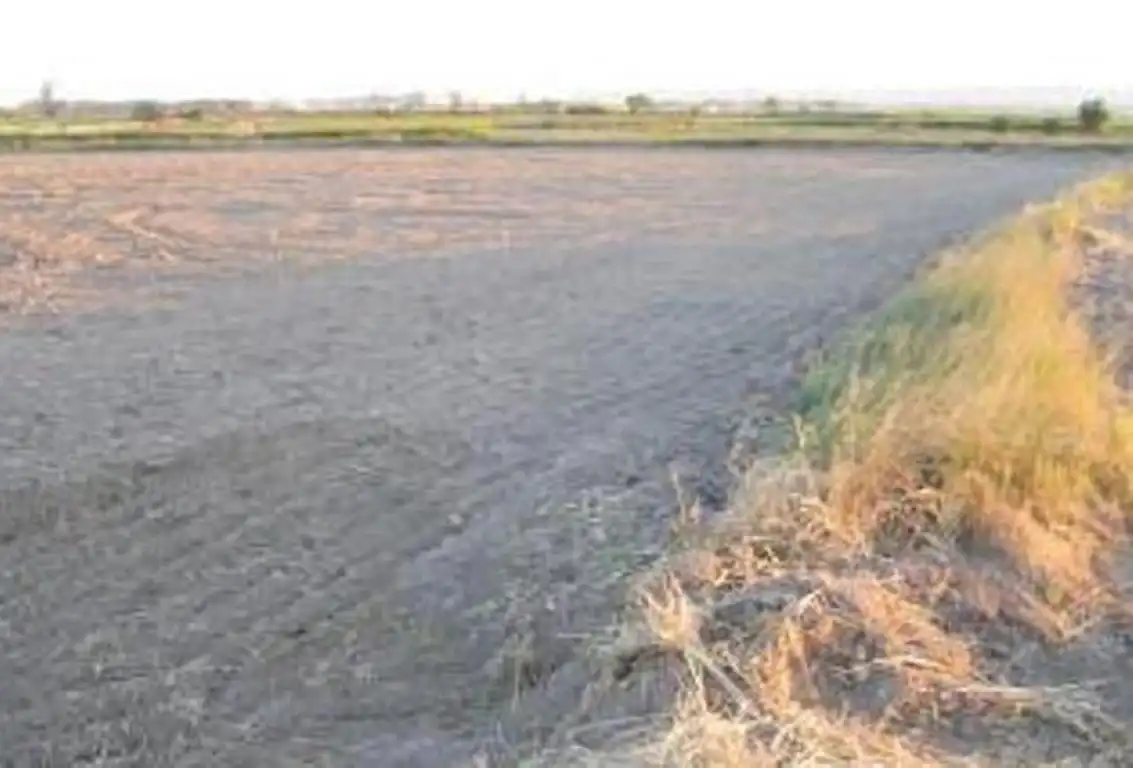 Rustikales Grundstück zum Verkauf in Fuentes de Ebro, imagen 2