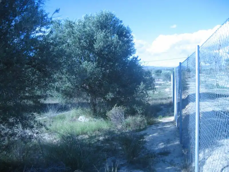 Grundstücke und Bauplätze zum Verkauf in Huércal-Overa, imagen 15