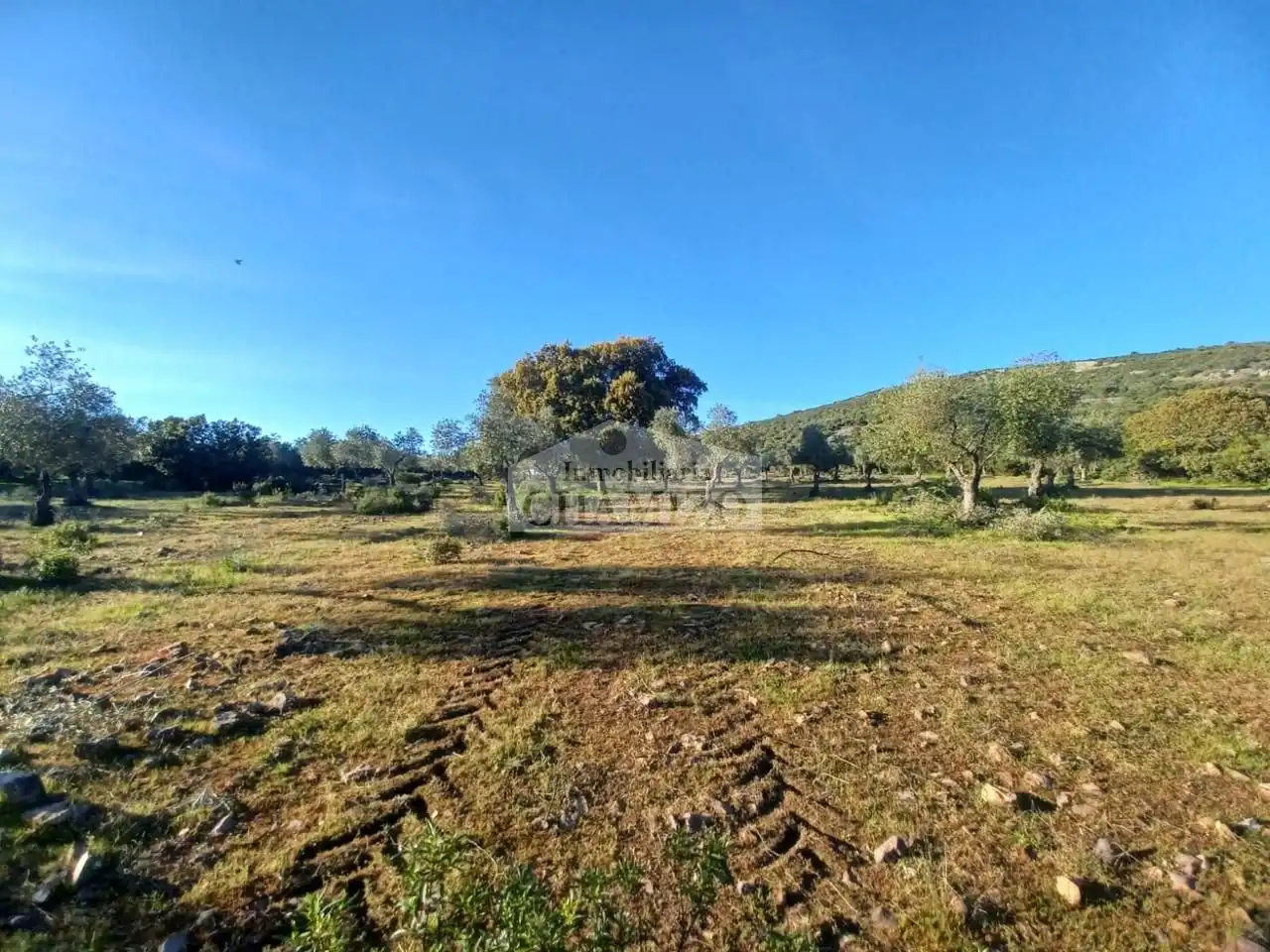 Grundstücke zum Verkauf in Peraleda del Zaucejo
