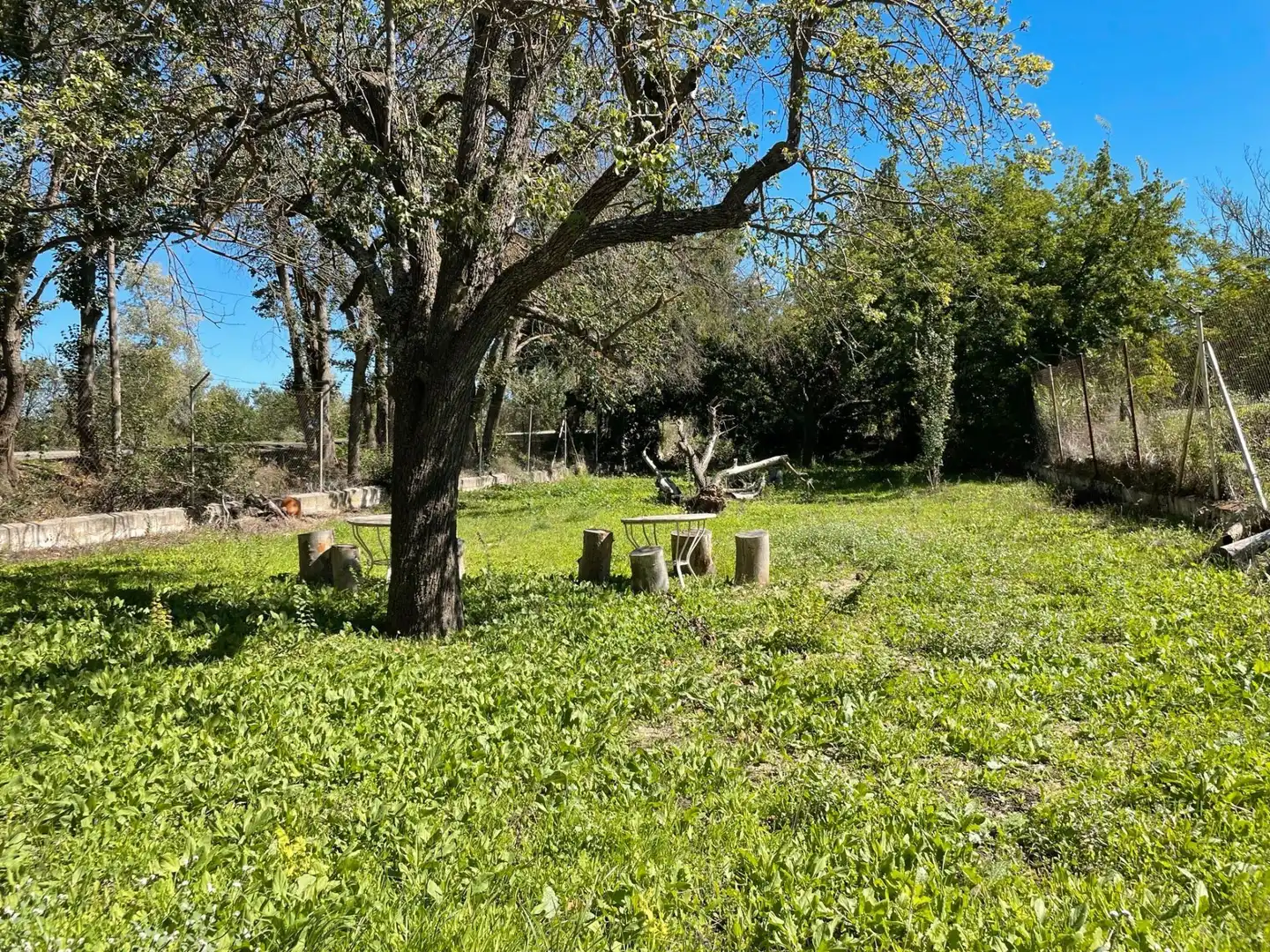 Rustikales Grundstück zum Verkauf in La pavera, imagen 35