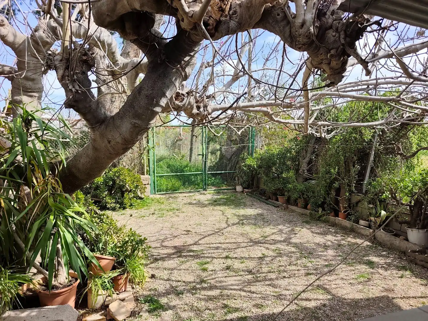 Chalet con terraza en venta en Camino Hondo, imagen 16