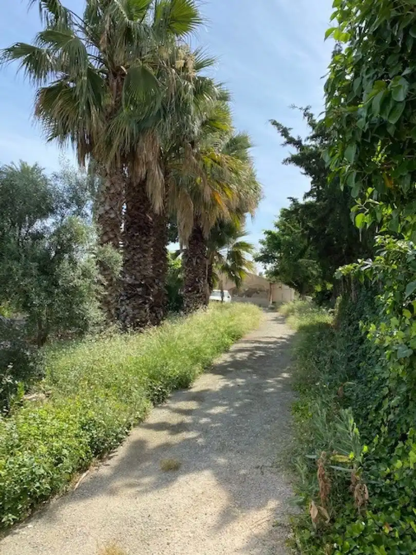 Vista exterior de Casa o xalet en venda en Murcia