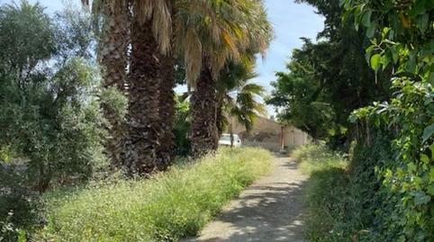 Photo 5 of House or chalet for sale in Los Ramos,  Murcia Capital