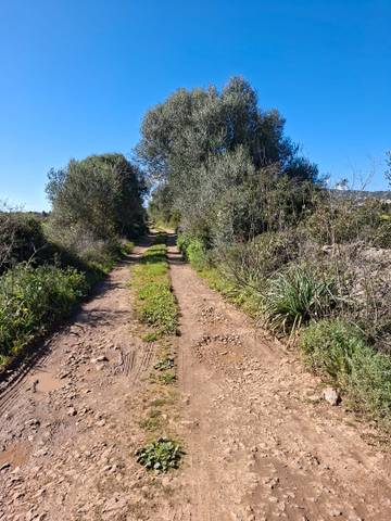 Terreno en Venta en Santa Eugènia