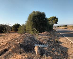 Land for sale in La Pobla de Vallbona