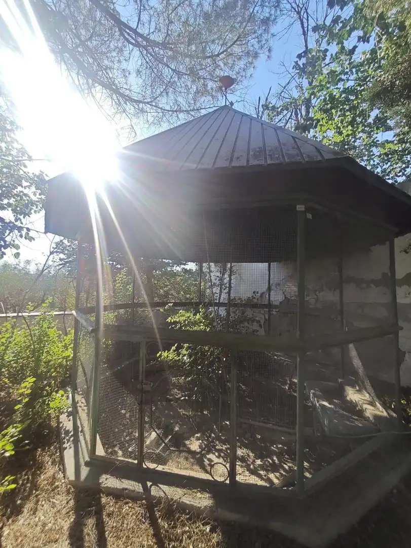 House with pool for sale in Petrer, imagen 44