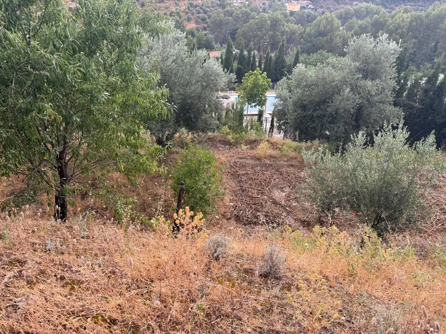 Country house zum Verkauf in Jaén mit Privatgarten, Terrasse und Schwimmbad