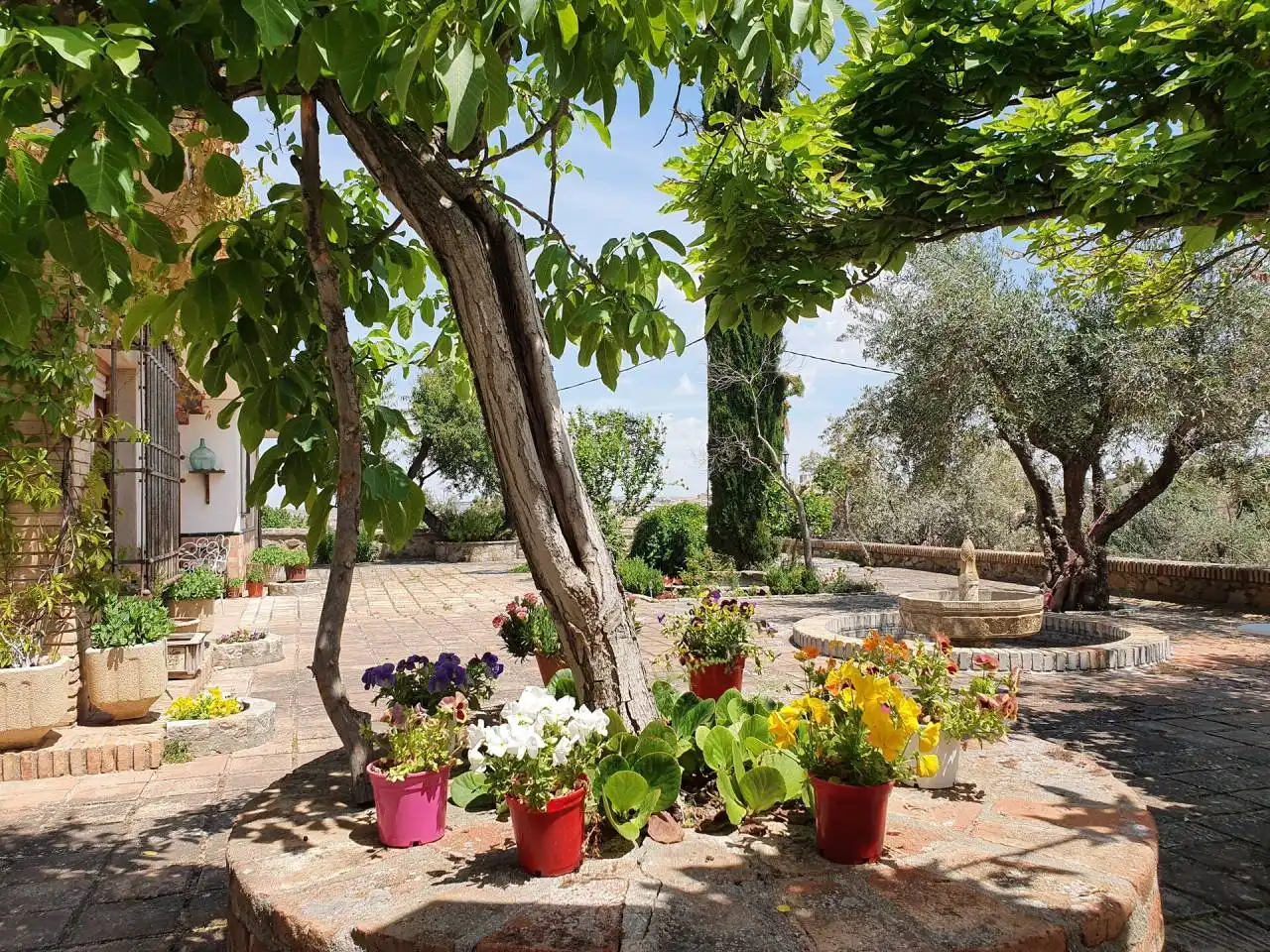 Garden of Buildings for sale in Toledo