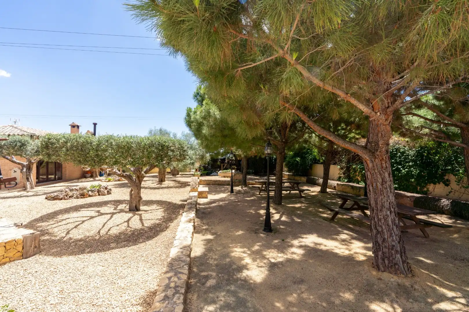 Jardín de Casa o chalet en venta en San Vicente del Raspeig / Sant Vicent del Raspeig con Aire acondicionado, Calefacción y Jardín privado