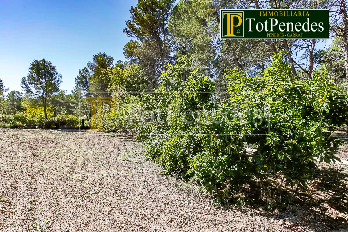 Terreno residenziale in vendita a Carrer David, imagen 7