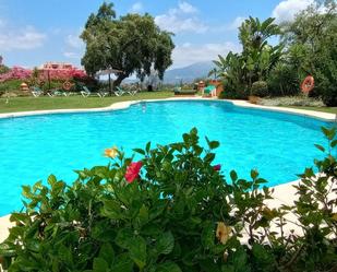 Swimming pool of Apartment to rent in Ojén  with Air Conditioner, Heating and Terrace
