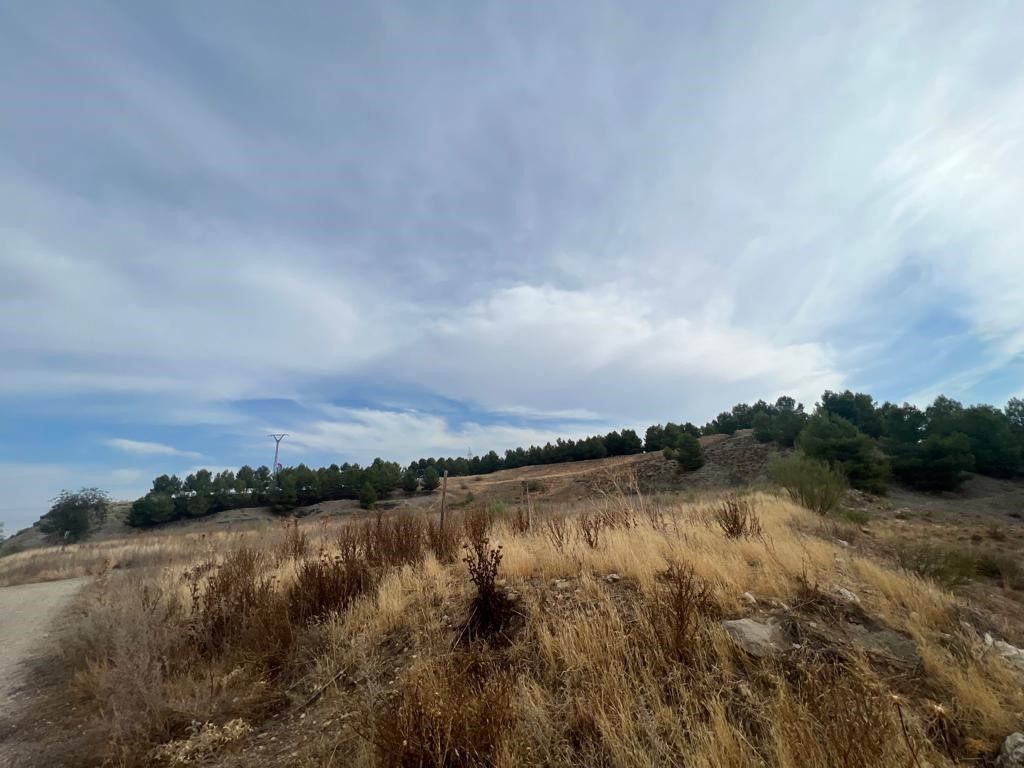 Land for sale in Loeches