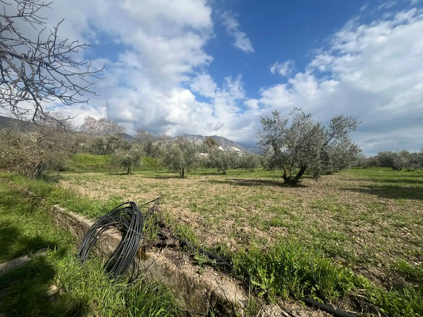 Land for sale in Dúrcal