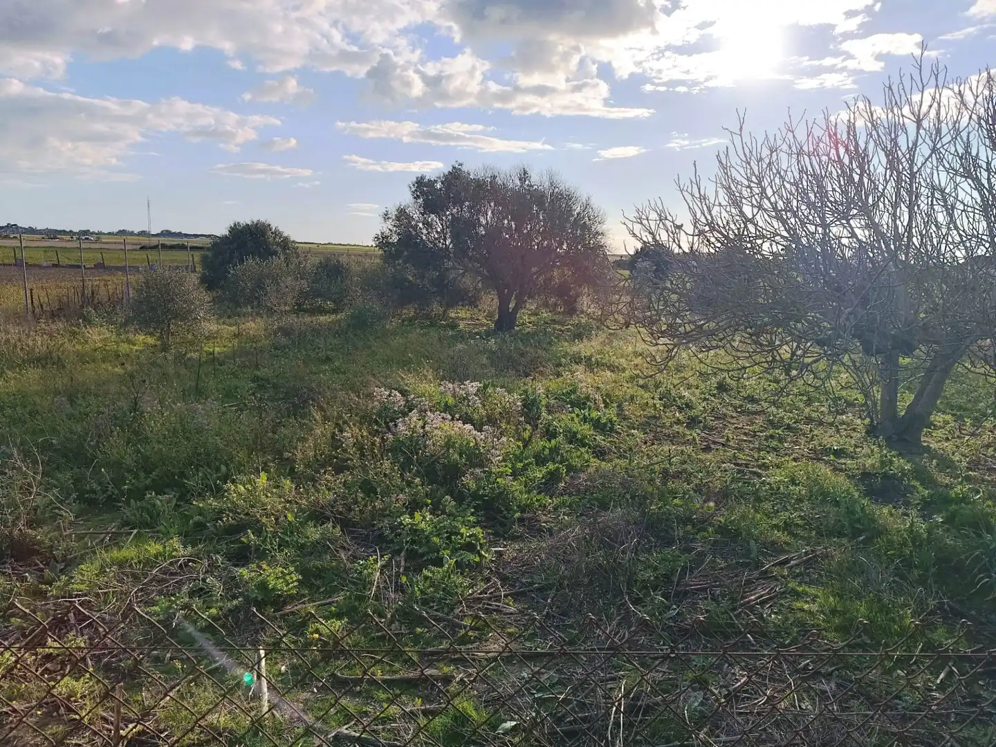 Country homes for sale in El Puerto de Santa María  with Air Conditioner, Private garden and Terrace