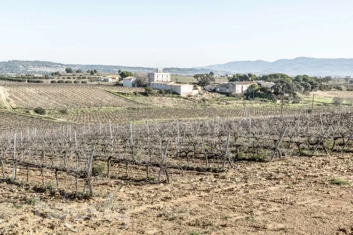 Casa o chalet en venta en Font-rubí con Calefacción, Jardín privado y Terraza