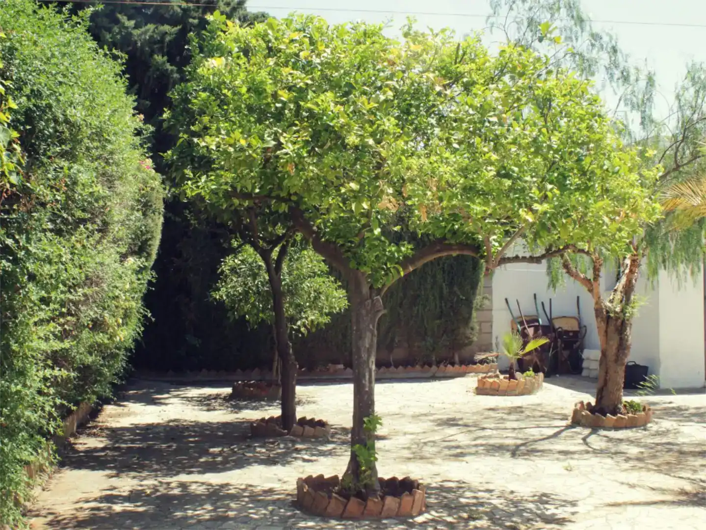 Jardín de Casa o chalet de alquiler en Alcalá de Guadaira con Aire acondicionado, Jardín privado y Piscina