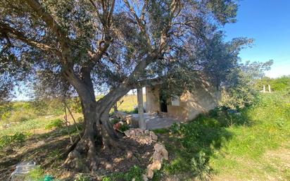 Casa o xalet en venda en Vinaròs