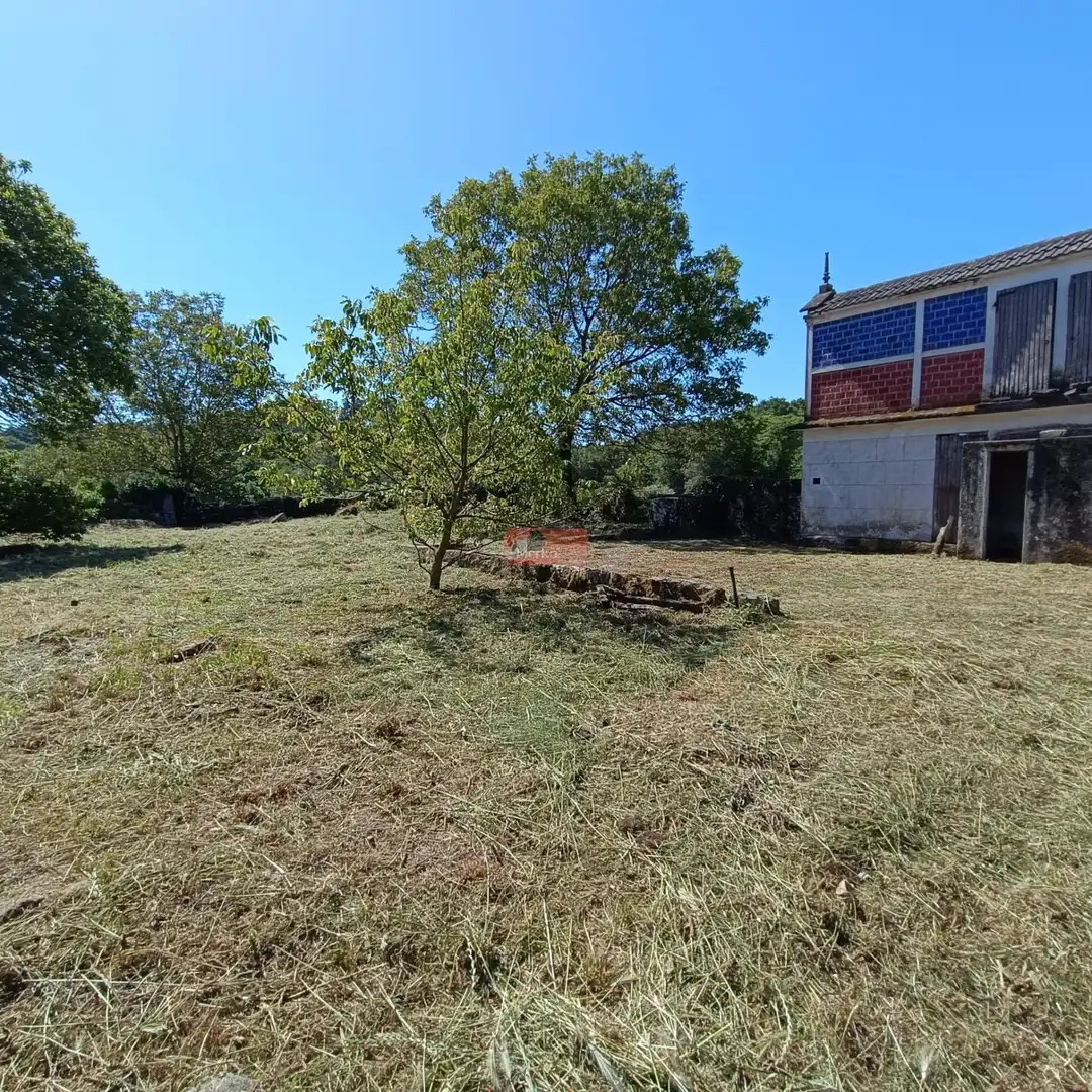 Country homes for sale in Monterroso
