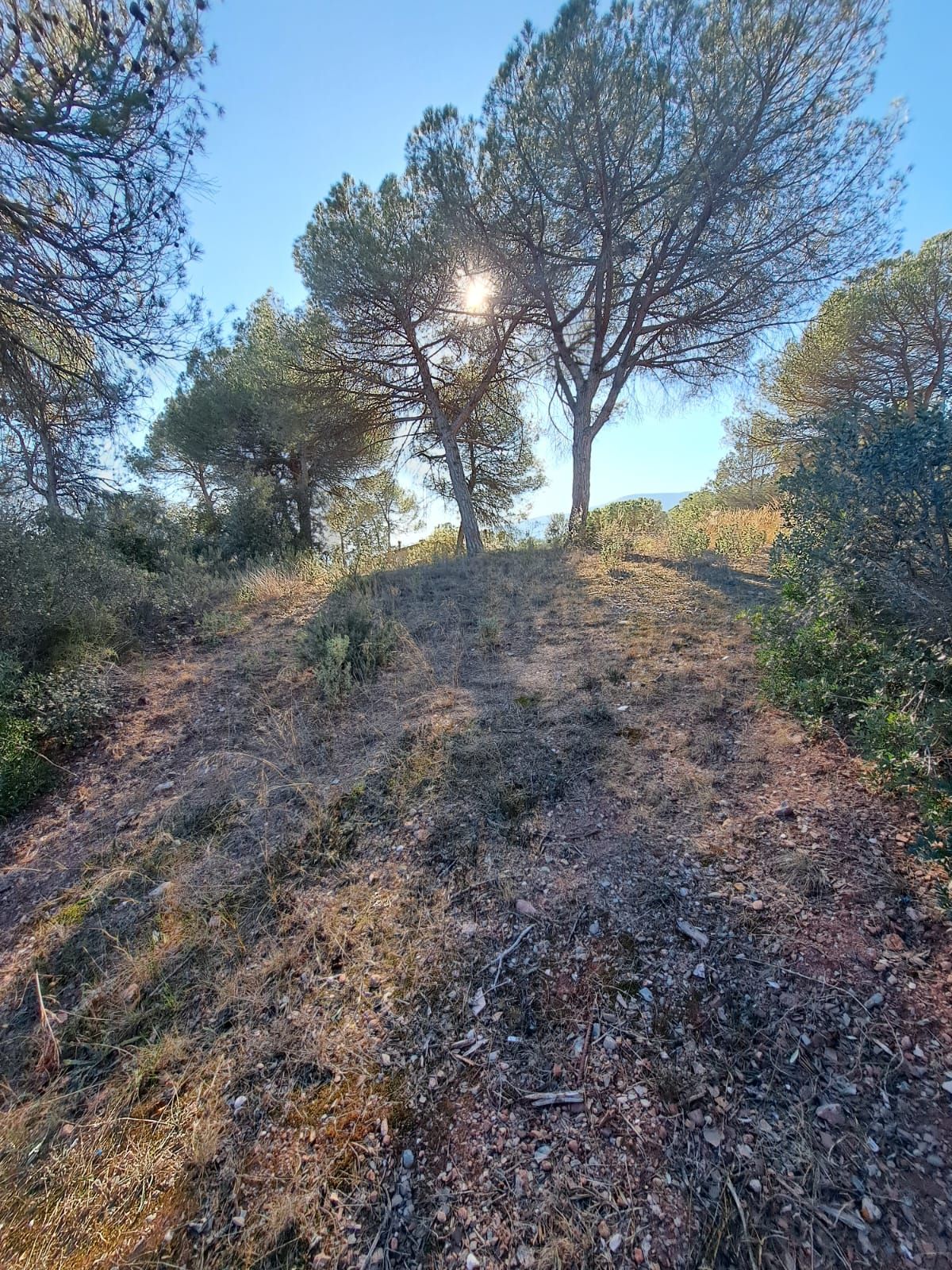 Residential for sale in Vacarisses