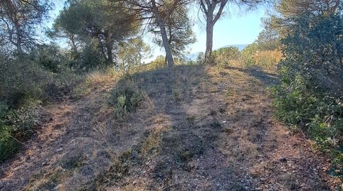 Foto 5 de Residencial en venta en Carrer Valles, 17, Vacarisses, Barcelona