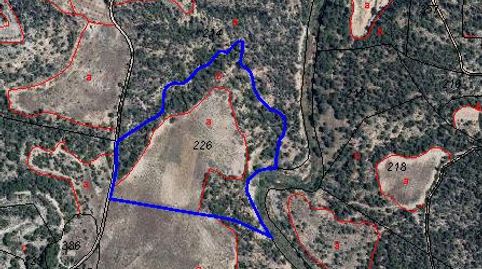 Foto 4 de Terreno en venta en Partida Casa Lazaro Nº Polg.123 P, Requena, Valencia