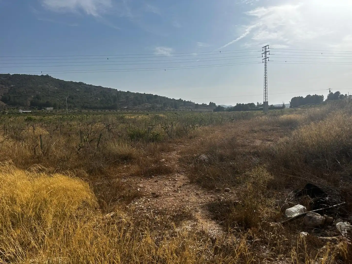 Terreno residencial en venta en El Pinós / Pinoso, imagen 13