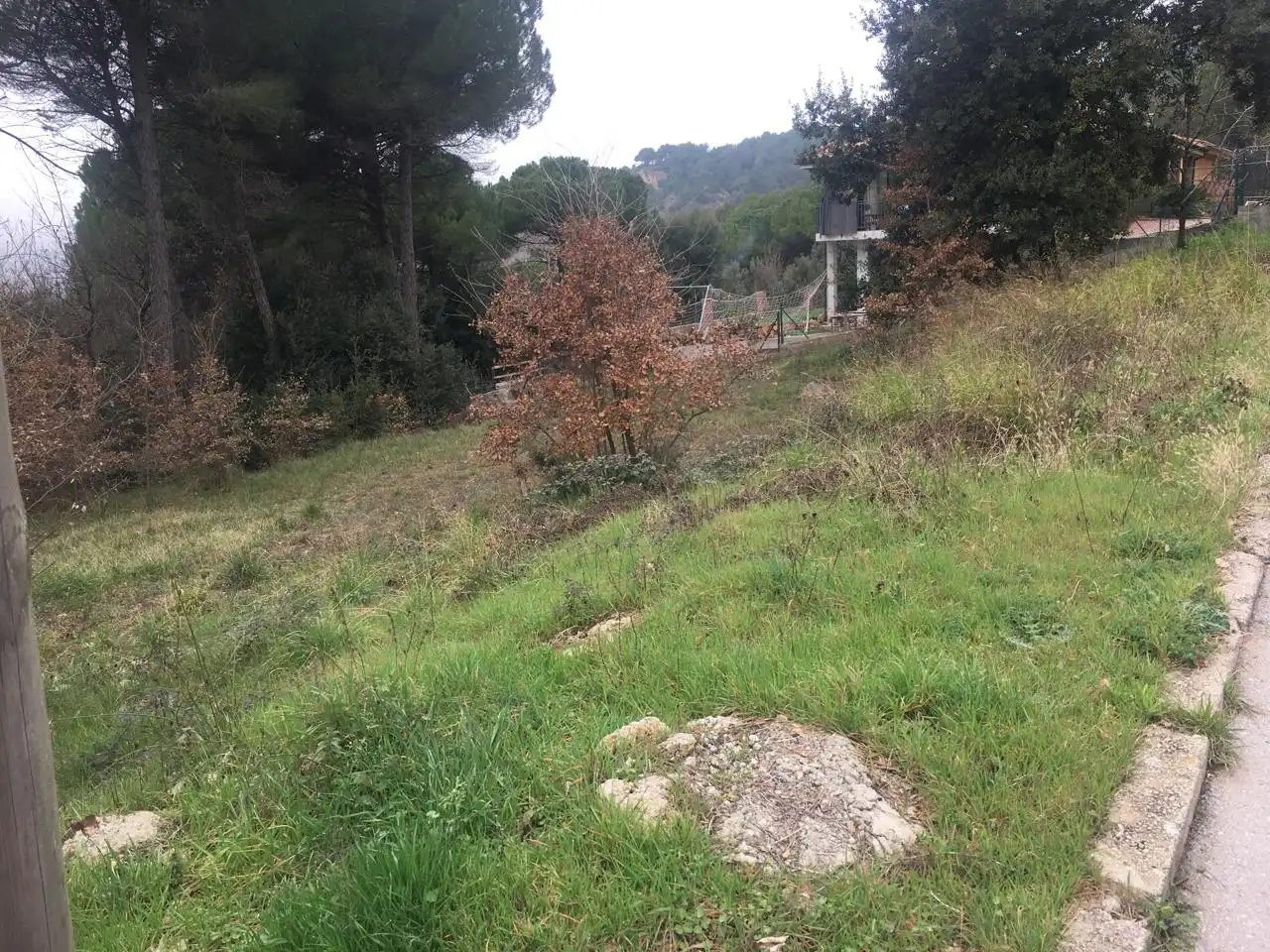 Terreni e lotti in vendita a Seva, imagen 4