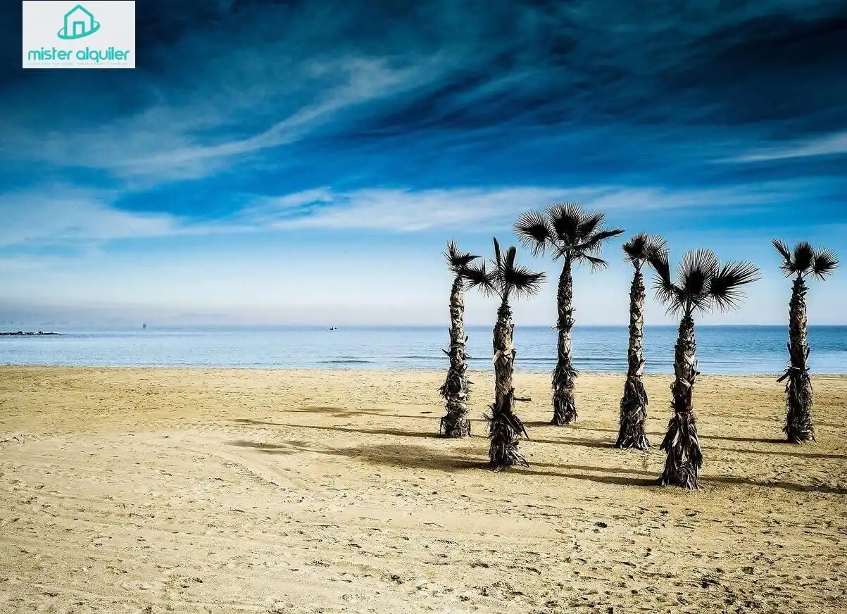 Erdgeschoss zur Miete in ALCOY, 30, Campello Playa