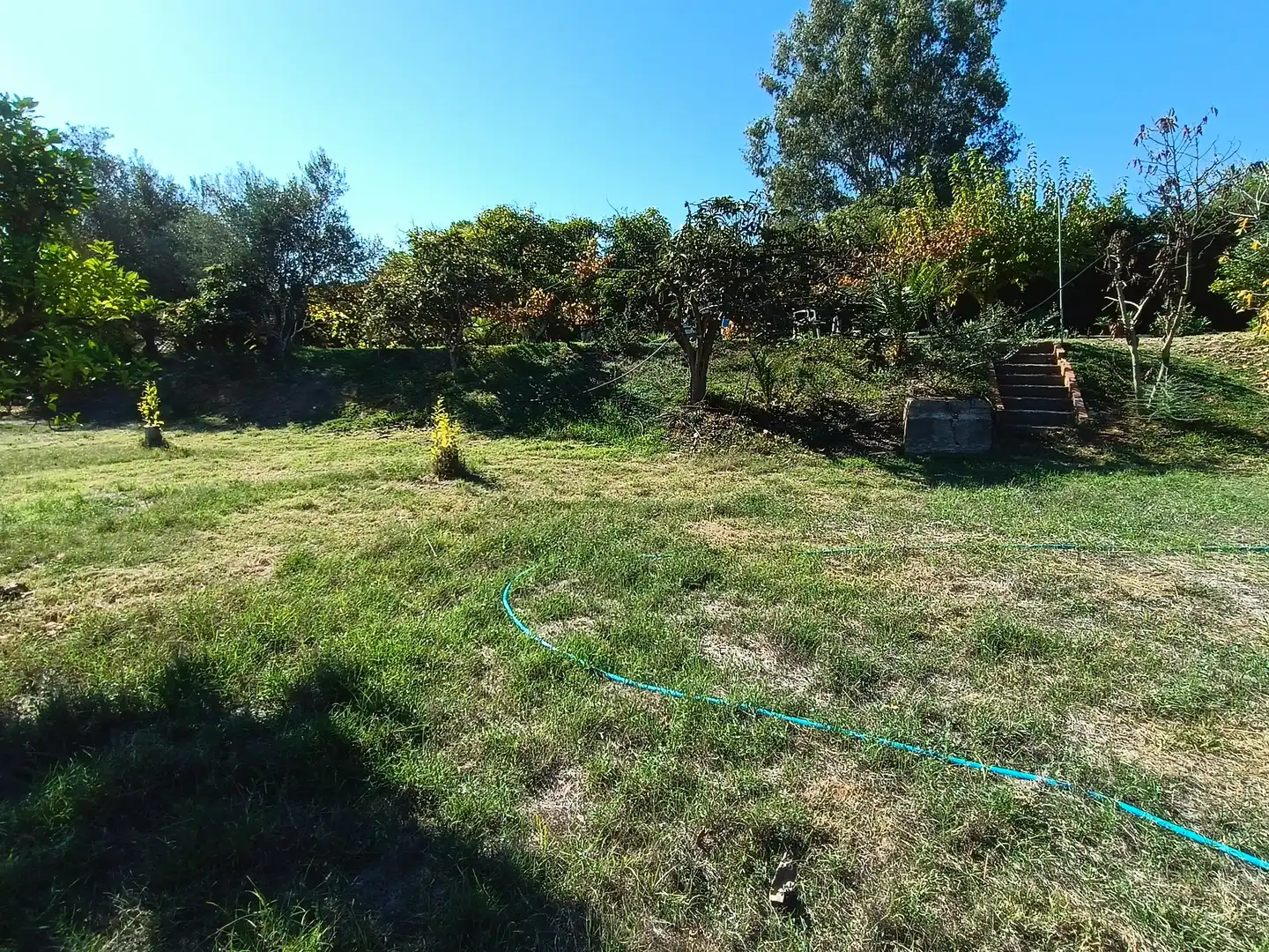 Finca rústica en venta en Estepona con Jardín privado, Terraza y Amueblado
