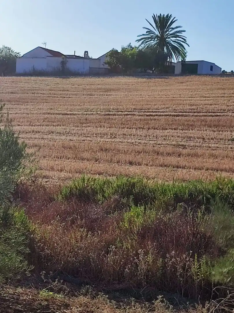 Terreno residencial en venta en Arcos de la Frontera, imagen 27