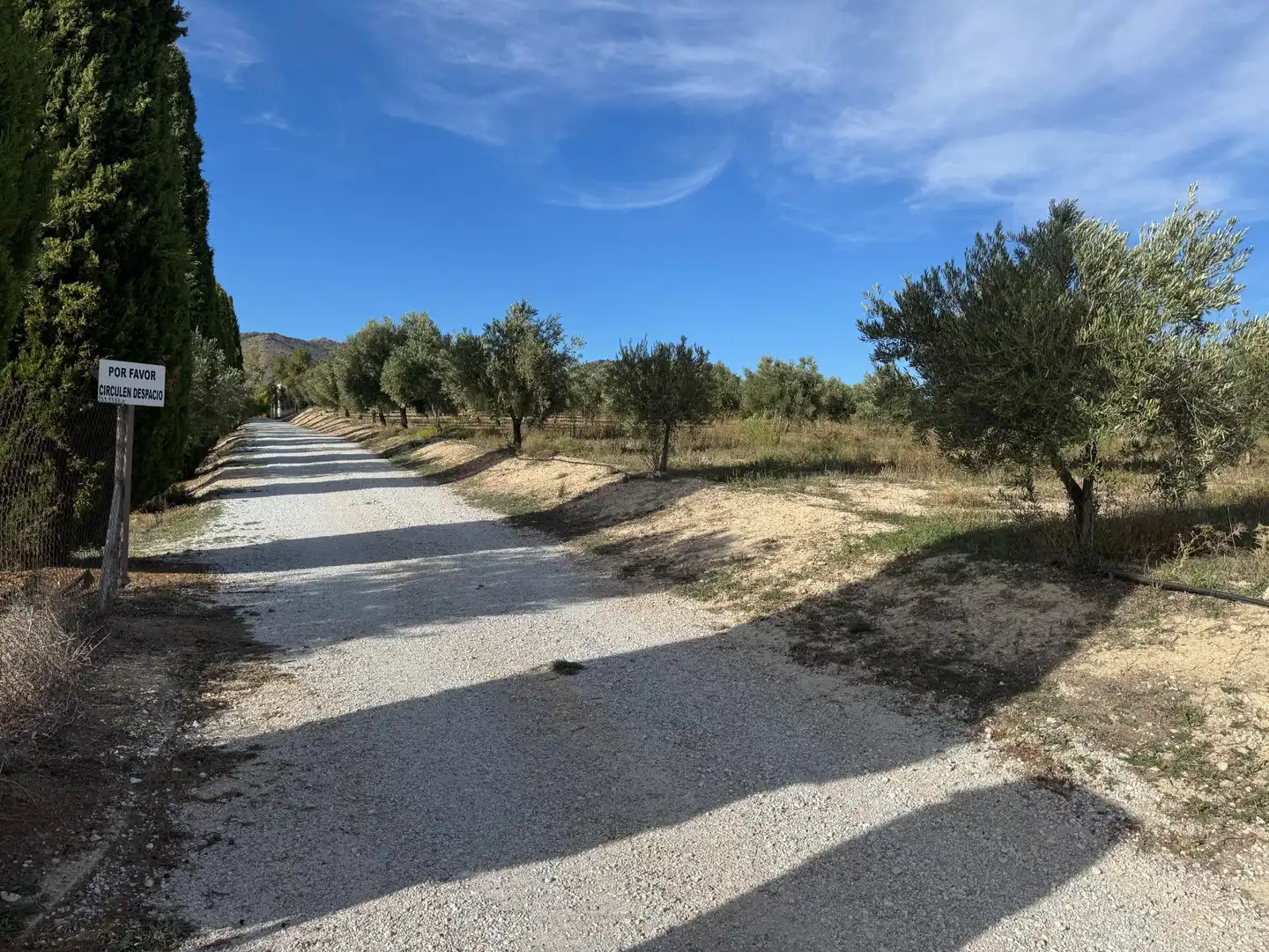 Finca rústica en venta en Huéscar