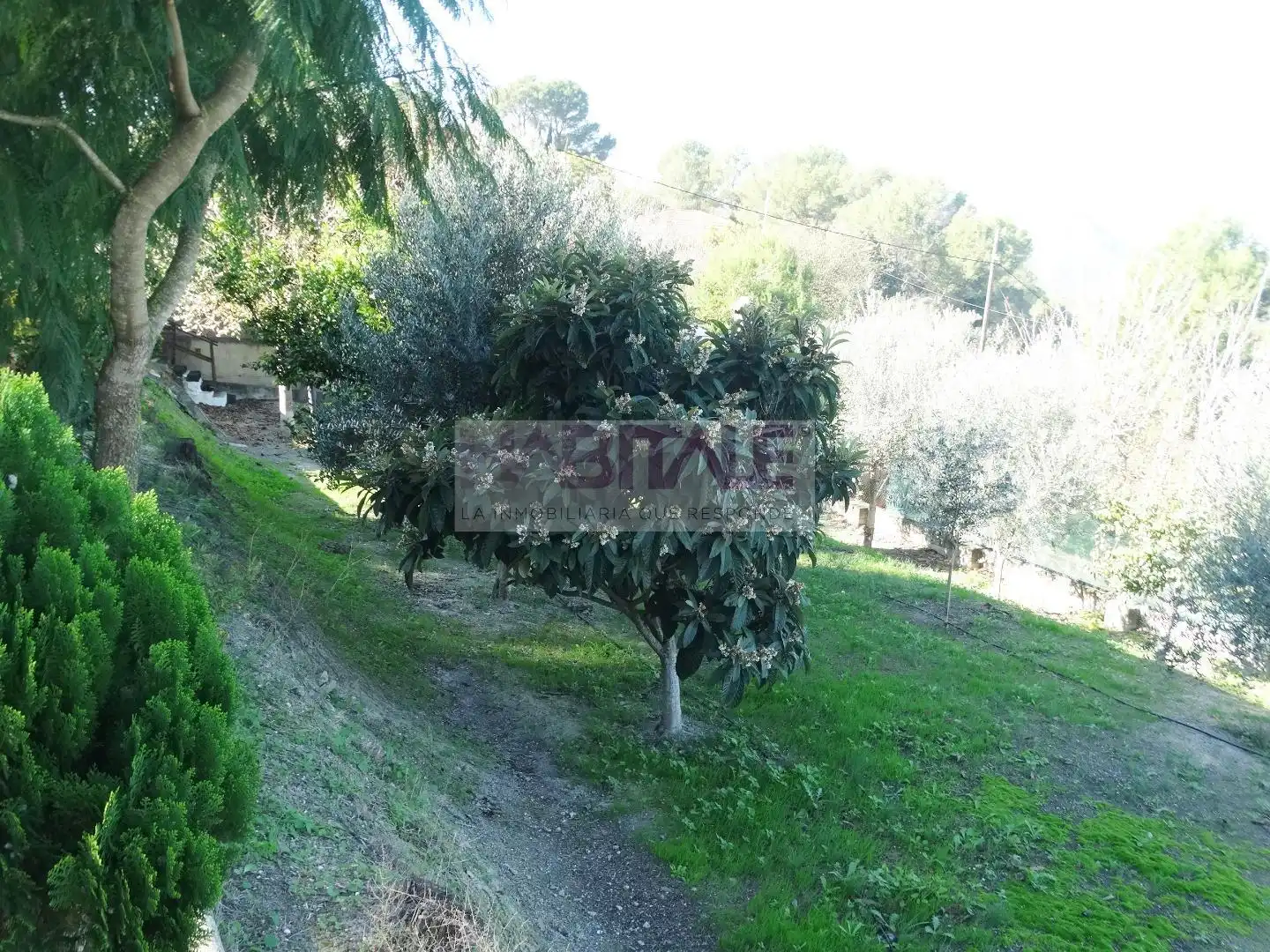 Casa o xalet en venda en Xàtiva amb Terrassa, Traster i Piscina