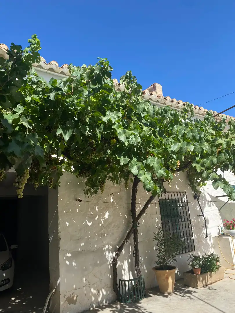 House with garden for sale in Calle Mayor 6, imagen 43