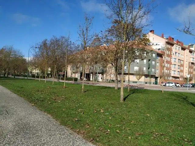 Flat with lift to rent in Centro