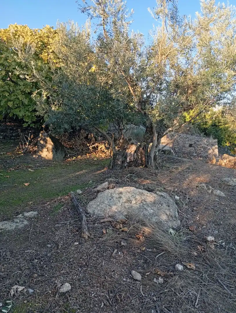 Terreni e lotti in vendita a Villanueva de la Vera, imagen 32