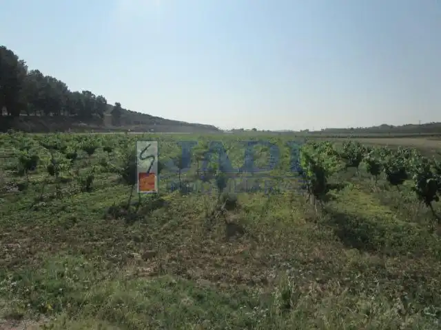 Casa rústica en venda a Valdepeñas, imagen 26