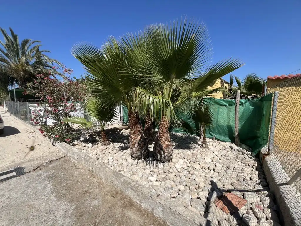 Casa amb piscina en venda a Fortuna, imagen 23